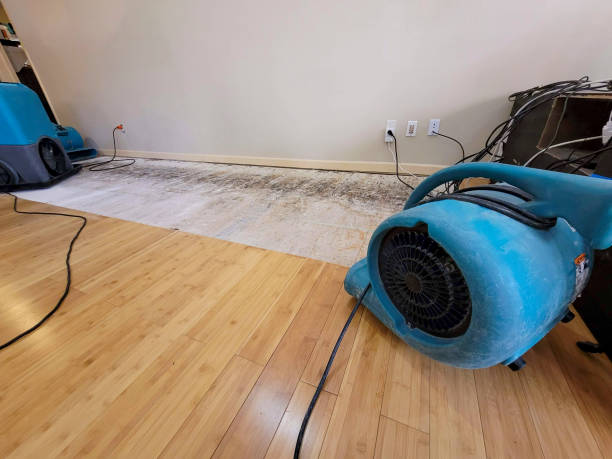 Professional Flood Damage Cleanup technician working in Hilliard, OH